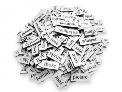vocabulary